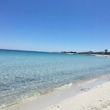 Li Puntiti 2 *